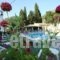 Elli-Marina Studios_best prices_in_Apartment_Ionian Islands_Corfu_Benitses