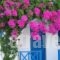 Margarenia_accommodation_in_Apartment_Cyclades Islands_Sandorini_Sandorini Chora