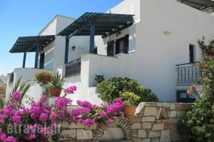 Naxos Filoxenia_lowest prices_in_Apartment_Ionian Islands_Kefalonia_Aghia Efimia