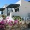 Naxos Filoxenia_lowest prices_in_Apartment_Ionian Islands_Kefalonia_Aghia Efimia