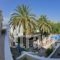 Kastro Studios & Apartments_holidays_in_Apartment_Piraeus Islands - Trizonia_Spetses_Spetses Chora