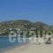 Siren Hotel_accommodation_in_Apartment_Cyclades Islands_Paros_Piso Livadi