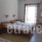 Kallirroi Studios_best deals_Apartment_Aegean Islands_Samos_Pythagorio