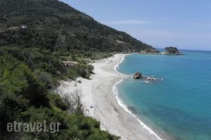 Kallirroi Studios_accommodation_in_Apartment_Aegean Islands_Samos_Pythagorio