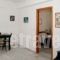 Idomeneas Apartments & Studios_lowest prices_in_Apartment_Crete_Chania_Sougia