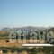 Mirsini Studios_best deals_Apartment_Cyclades Islands_Paros_Paros Chora