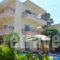 Dimitra & Evdokia_lowest prices_in_Apartment_Crete_Chania_Agia Marina