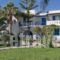 Evdokia_best deals_Apartment_Cyclades Islands_Naxos_Naxos Rest Areas