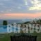 Villa Alex_best deals_Villa_Epirus_Preveza_Preveza City