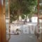 Guesthouse Arsinoe_lowest prices_in_Room_Piraeus Islands - Trizonia_Methana_Methana Rest Areas