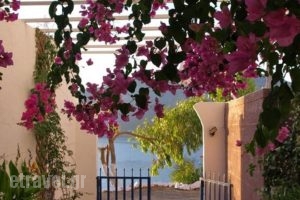 Michalis Studios_accommodation_in_Apartment_Dodekanessos Islands_Tilos_Livadia