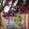 Michalis Studios_accommodation_in_Apartment_Dodekanessos Islands_Tilos_Livadia