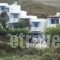 Irene Studios_accommodation_in_Apartment_Cyclades Islands_Andros_Gavrio