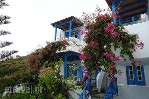 Irene Studios_holidays_in_Apartment_Cyclades Islands_Andros_Gavrio