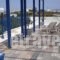 Elena Studios_holidays_in_Apartment_Cyclades Islands_Milos_Milos Rest Areas