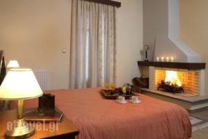 Ef Studios & Suites_best prices_in_Apartment_Central Greece_Viotia_Arachova