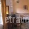 Grivas Apartments_holidays_in_Apartment_Ionian Islands_Lefkada_Sivota