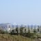 Spanos Apartments_best deals_Apartment_Cyclades Islands_Andros_Gavrio