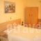 Hercules seafront Studios_best deals_Apartment_Ionian Islands_Kefalonia_Assos