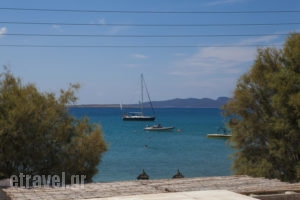 Ostria Studios & Apartments_travel_packages_in_Cyclades Islands_Paros_Alyki