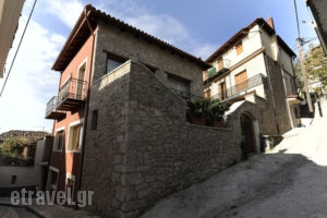 Xenonas Ioanna_best prices_in_Room_Central Greece_Viotia_Arachova