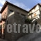 Xenonas Ioanna_best prices_in_Room_Central Greece_Viotia_Arachova