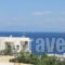 Alvi Studios_lowest prices_in_Apartment_Piraeus Islands - Trizonia_Aigina_Perdika