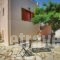 Irene Studios_best deals_Apartment_Sporades Islands_Skopelos_Skopelos Chora