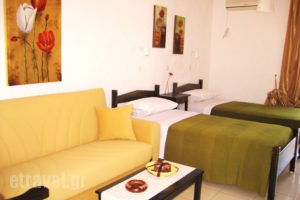 Seaside Studios_best prices_in_Room_Dodekanessos Islands_Karpathos_Karpathosora