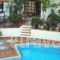 Elina Apartments_holidays_in_Apartment_Crete_Heraklion_Chersonisos