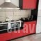 Fira Backpackers Place_best deals_Room_Cyclades Islands_Sandorini_Fira