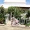 Villa Dina_holidays_in_Villa_Ionian Islands_Corfu_Corfu Rest Areas