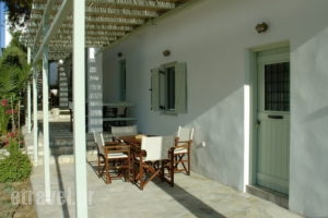 Mike's Place_holidays_in_Apartment_Cyclades Islands_Antiparos_Antiparos Chora