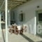 Mike's Place_holidays_in_Apartment_Cyclades Islands_Antiparos_Antiparos Chora