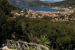 Calypso Apartments_best prices_in_Apartment_Ionian Islands_Ithaki_Ithaki Chora