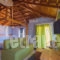 Heliotrope The Studios_best deals_Apartment_Aegean Islands_Lesvos_Mytilene