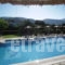 Stalaktites Studios_accommodation_in_Apartment_Ionian Islands_Kefalonia_Kefalonia'st Areas