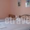 Paschalia Apartments_best deals_Apartment_Macedonia_Halkidiki_Psakoudia