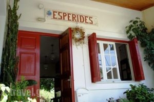 Esperides_accommodation_in_Apartment_Peloponesse_Messinia_Kardamyli