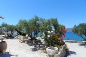 Roula Studios_holidays_in_Apartment_Cyclades Islands_Milos_Milos Rest Areas