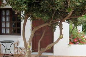 Anavaloussa Apartments_lowest prices_in_Apartment_Crete_Chania_Kissamos