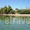 Elia Apartment_travel_packages_in_Macedonia_Halkidiki_Nikiti