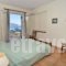 Turtle Beach_holidays_in_Apartment_Ionian Islands_Zakinthos_Agios Sostis