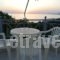 Staikos_holidays_in_Apartment_Epirus_Preveza_Lygia