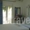 Big Blue Apartments_holidays_in_Apartment_Crete_Lasithi_Ierapetra