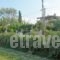 Repo Studio_best deals_Apartment_Central Greece_Fokida_Chiliadou