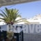 Ios art studios & apartmets_holidays_in_Apartment_Cyclades Islands_Ios_Ios Chora