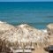 Marakas Beach Apartments_holidays_in_Apartment_Crete_Chania_Stalos