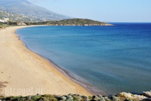 Aithra_accommodation_in_Room_Cyclades Islands_Andros_Gavrio