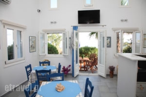 Agnadi Syros_best prices_in_Apartment_Cyclades Islands_Syros_Syrosst Areas